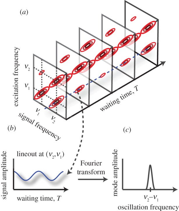 Figure 6.