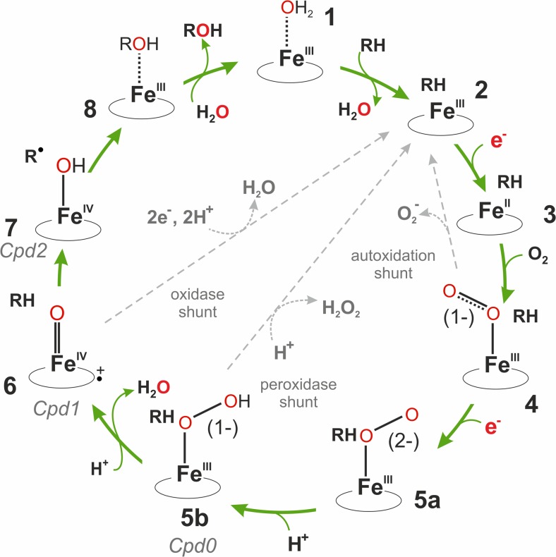 Fig. 2