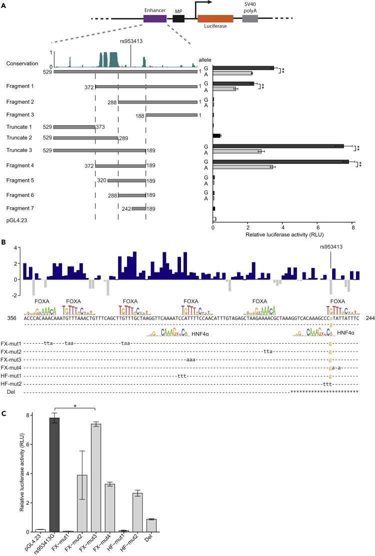 Figure 2