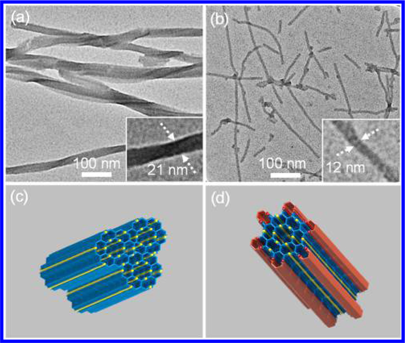 Figure 11.