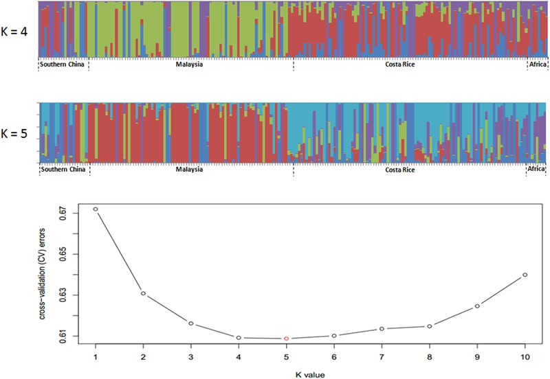 FIGURE 4