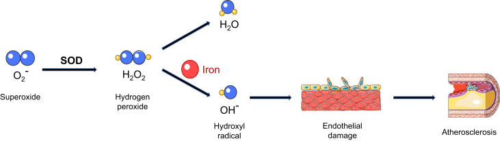 Figure 3