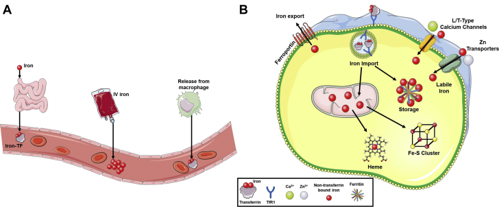 Figure 2