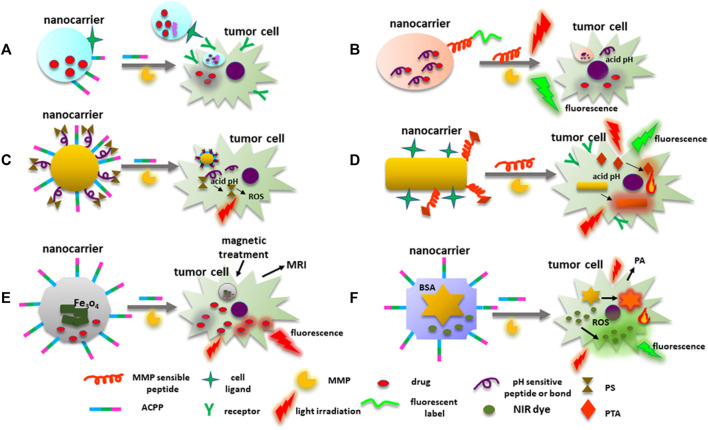 FIGURE 6