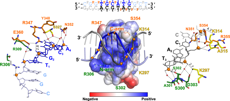 Figure 3.