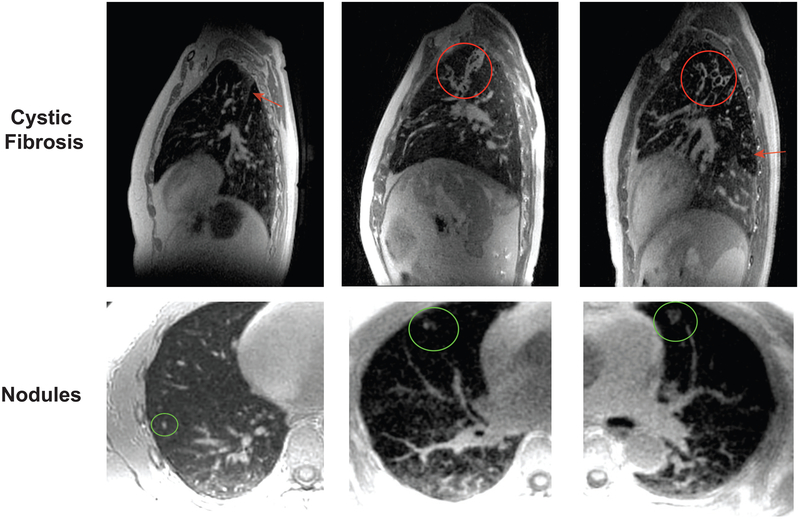 FIG. 10.