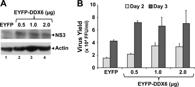 FIG. 2.