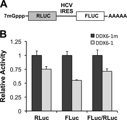 FIG. 9.