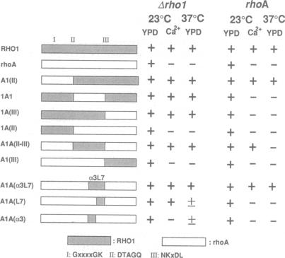 graphic file with name pnas01142-0132-c.jpg