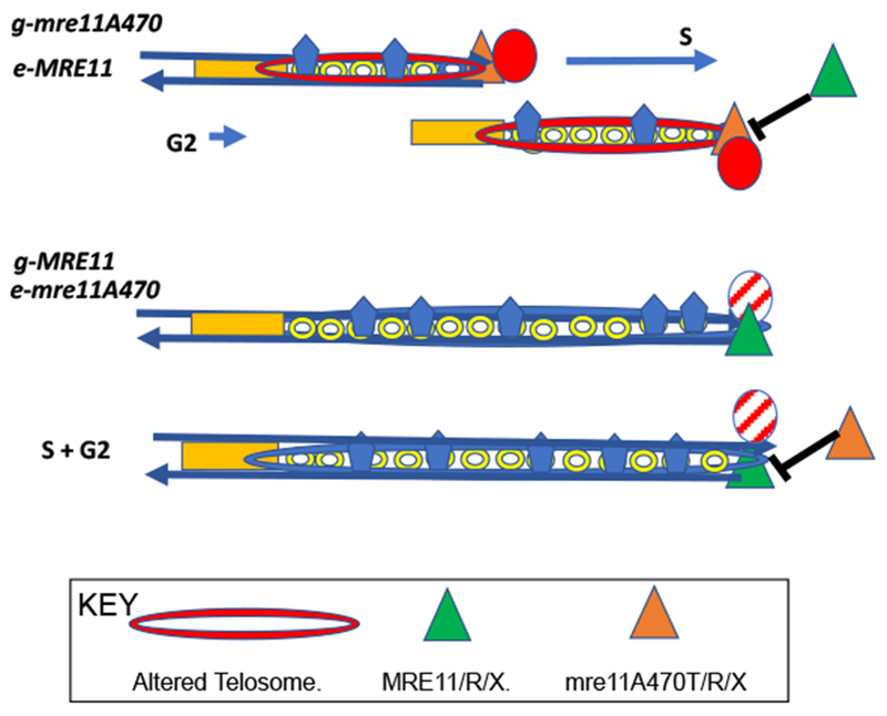 Figure 3: