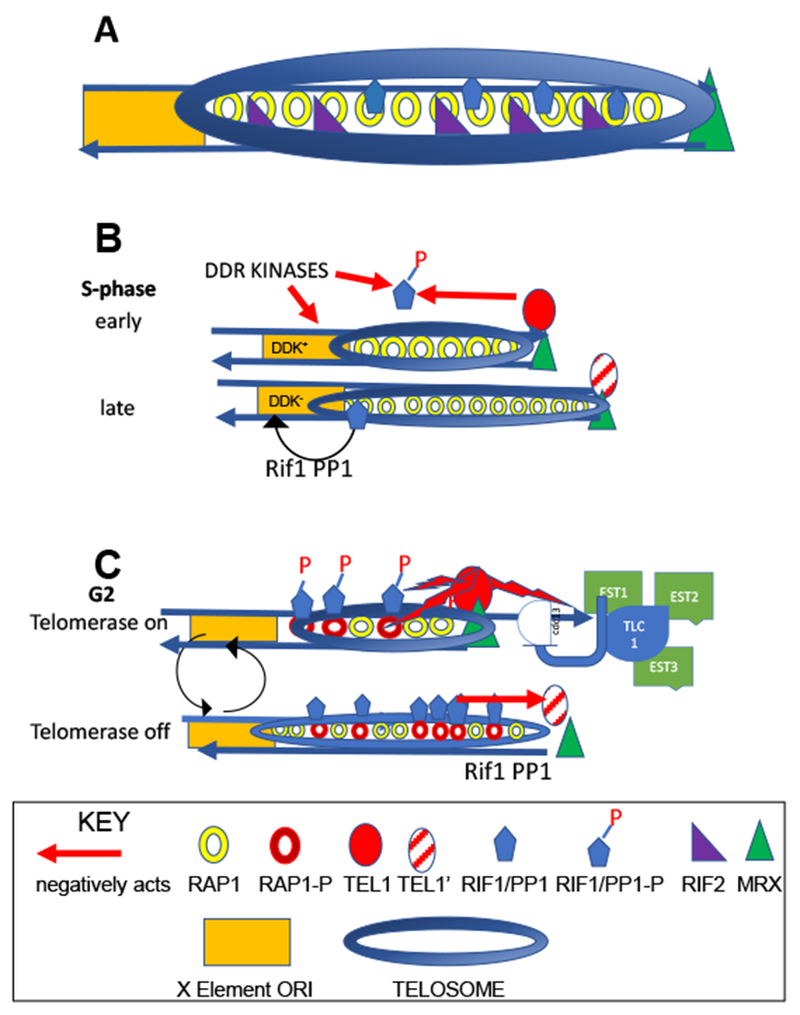 Figure 1: