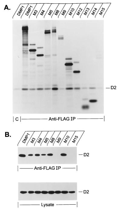 FIG. 3