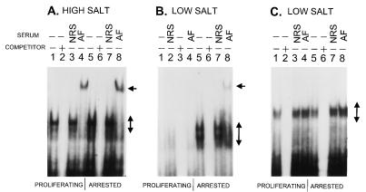 FIG. 7