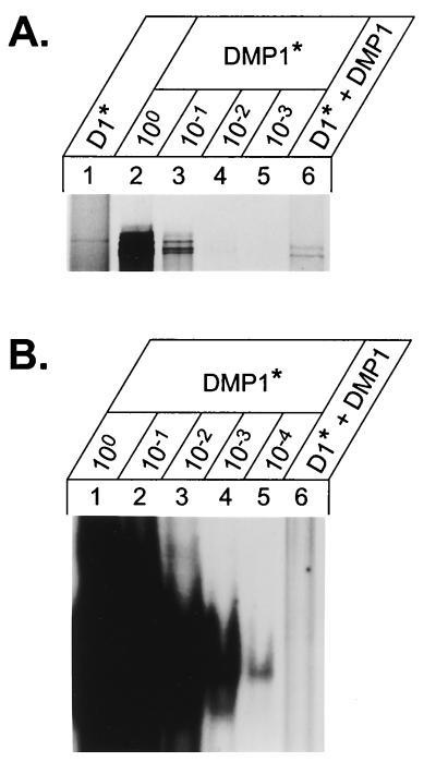 FIG. 6