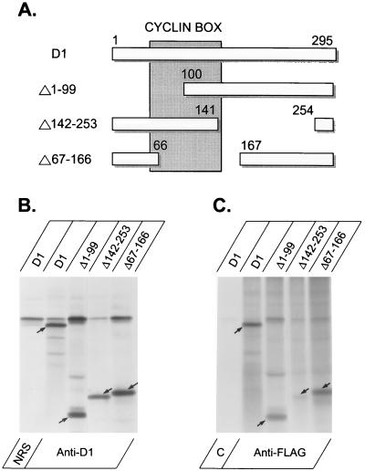 FIG. 4