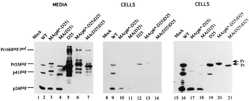 FIG. 4