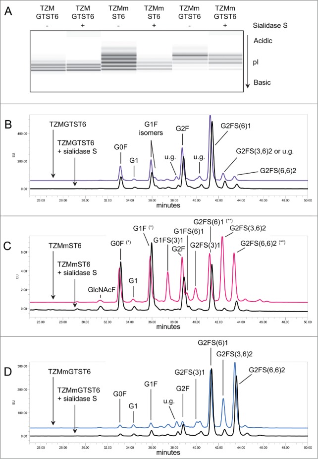 Figure 5.