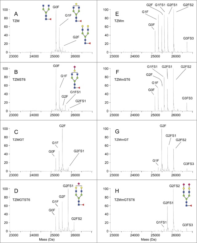 Figure 4.