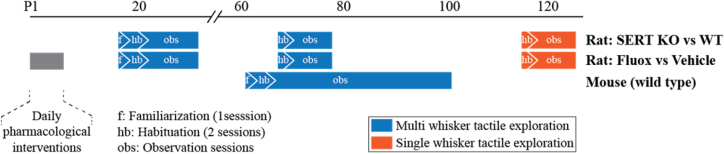 Figure 1: