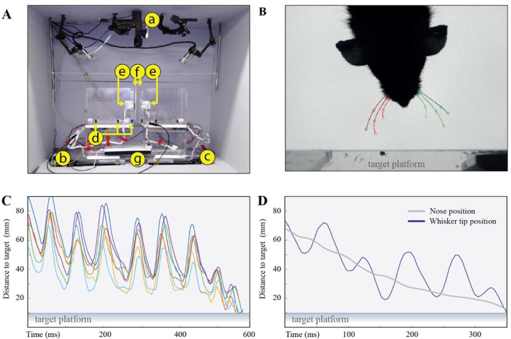 Figure 2: