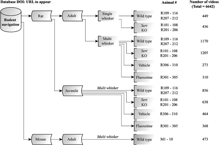 Figure 3: