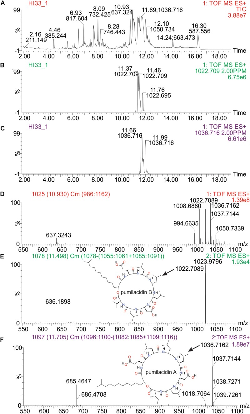 FIGURE 10