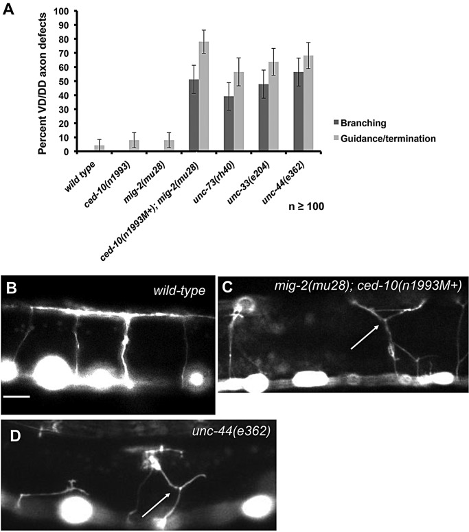 Fig. 3.