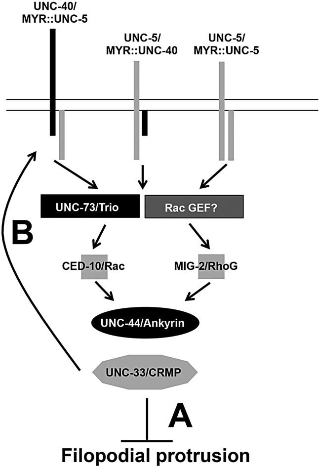 Fig. 9.