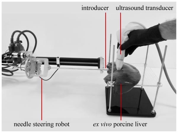 Fig. 11