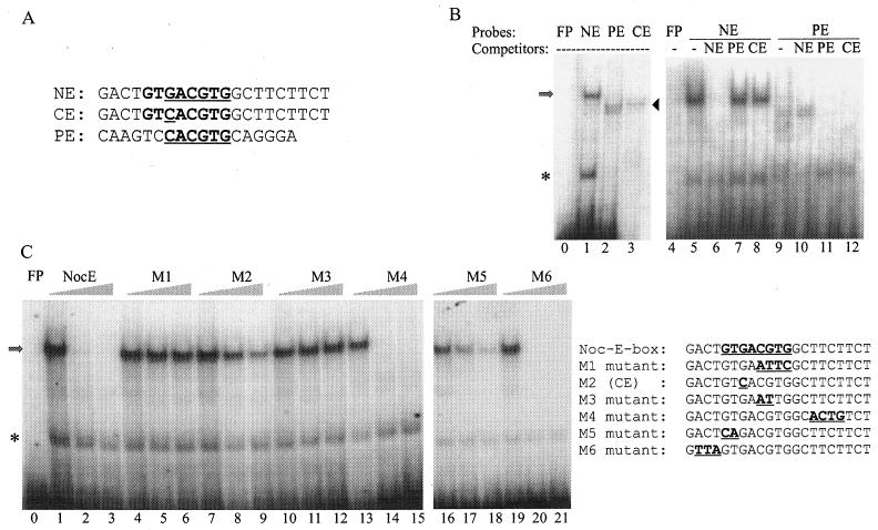 FIG. 2.