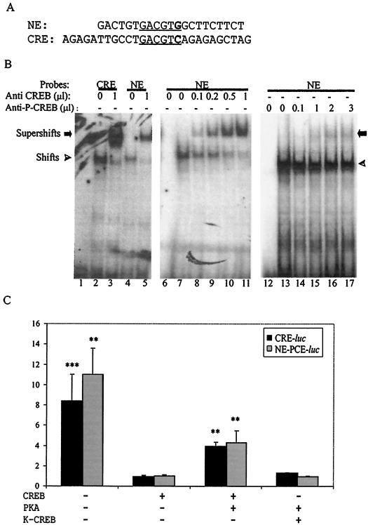 FIG. 5.