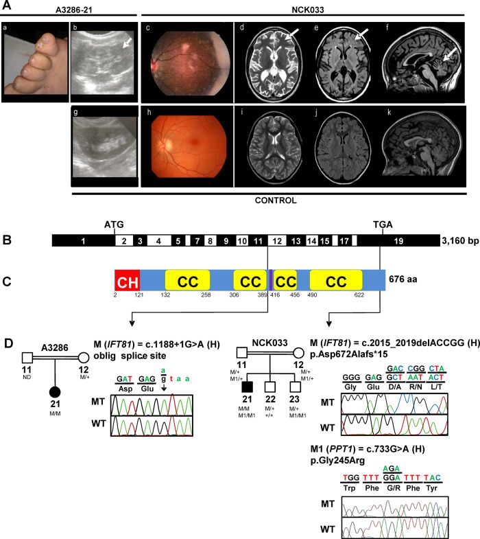 Figure 1