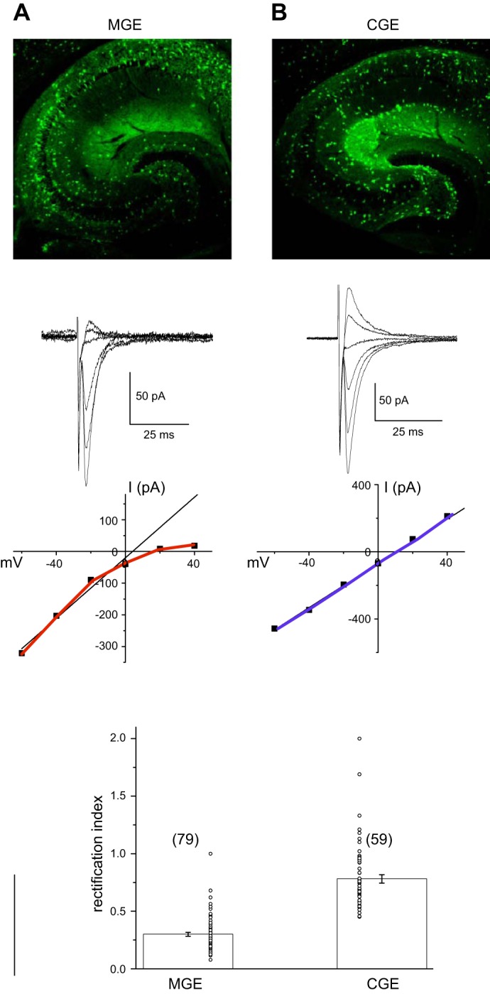 FIGURE 14.