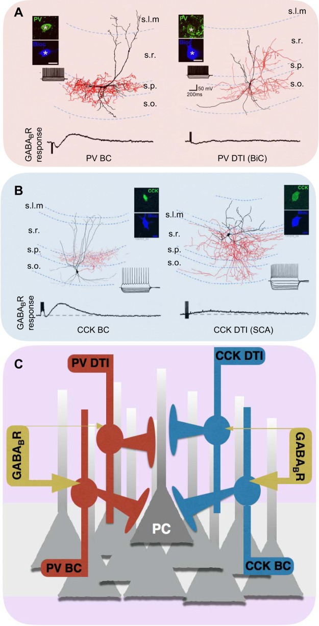 FIGURE 18.