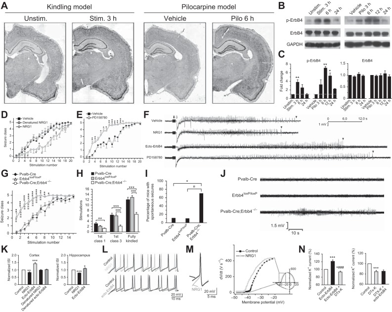 FIGURE 25.