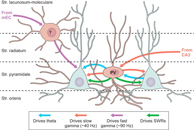 FIGURE 21.