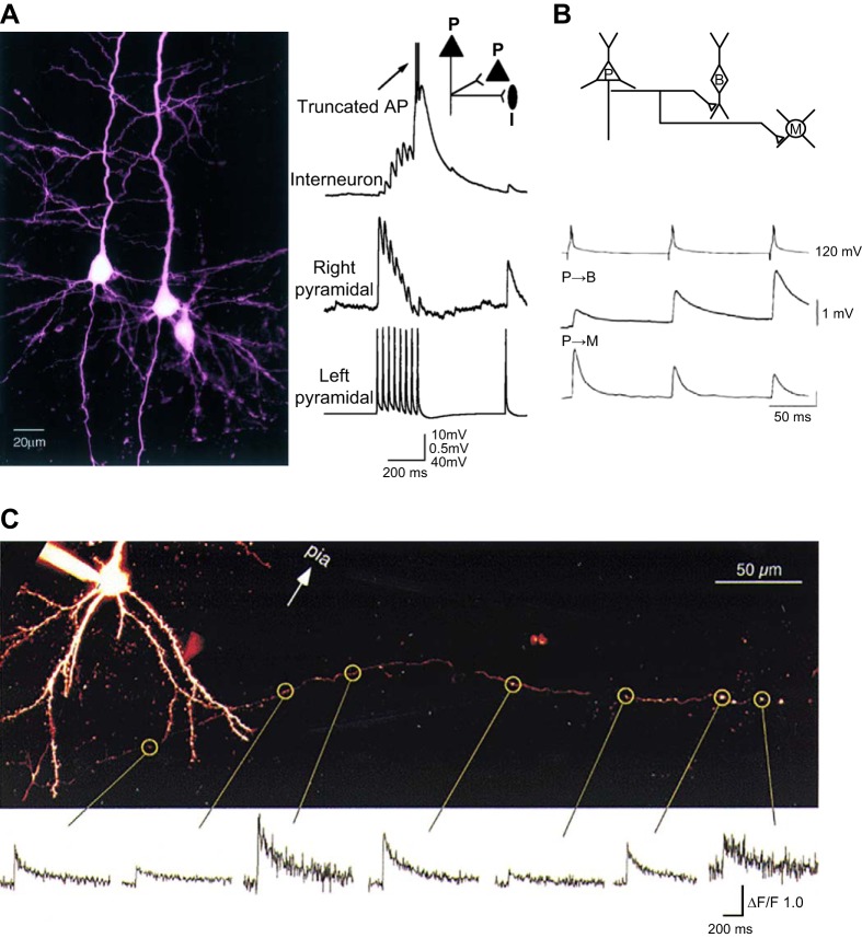 FIGURE 16.