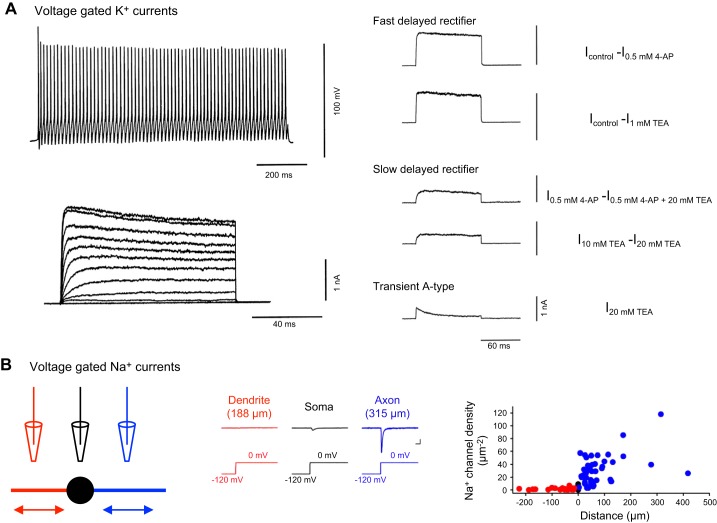 FIGURE 10.