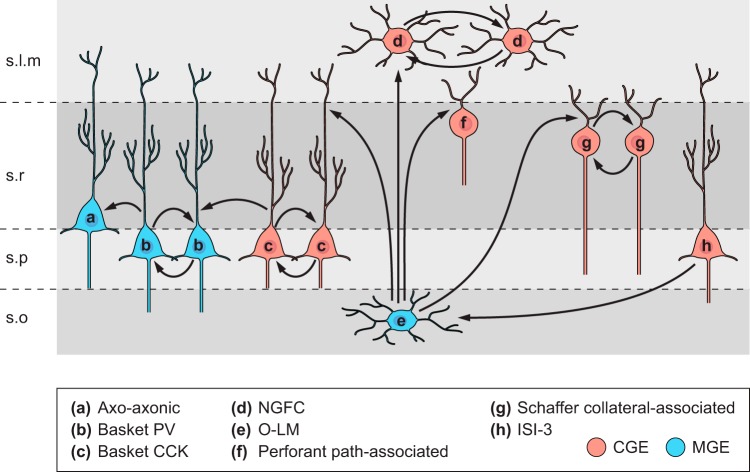 FIGURE 17.