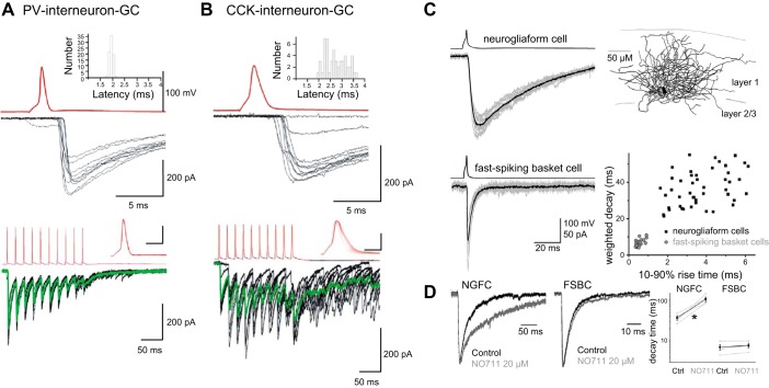 FIGURE 13.