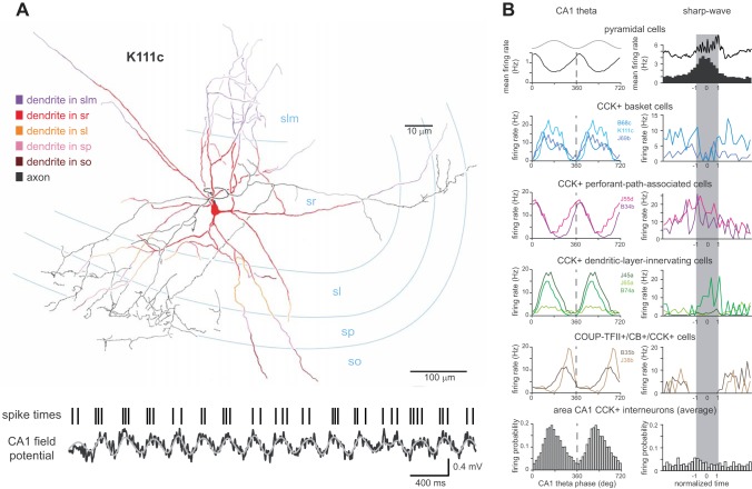 FIGURE 23.