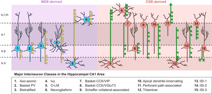 FIGURE 1.