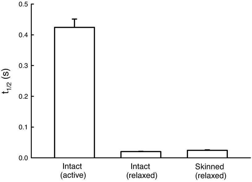 Fig. 12.