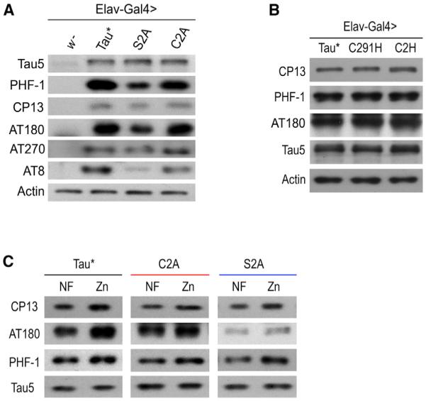 Figure 7