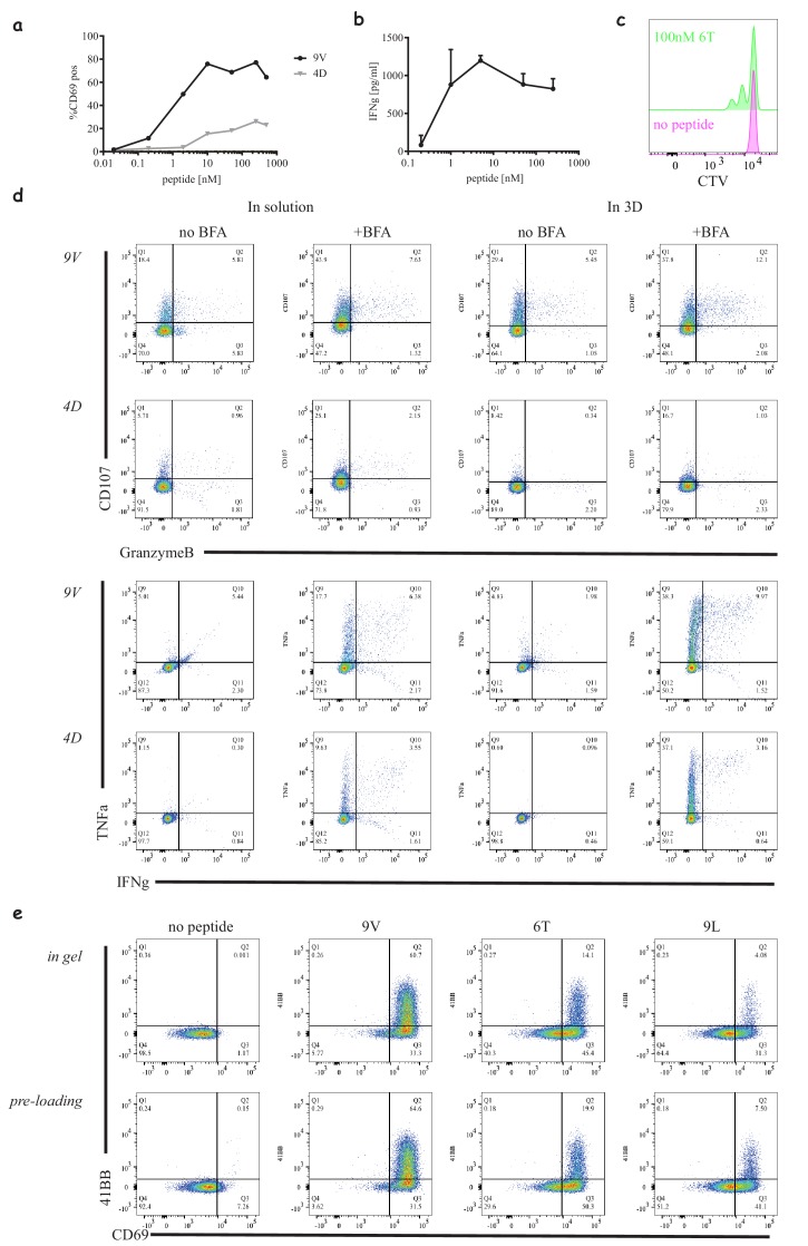 Figure 4—figure supplement 2.