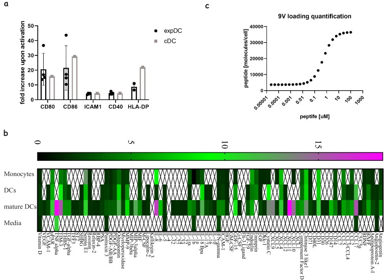 Figure 3—figure supplement 1.