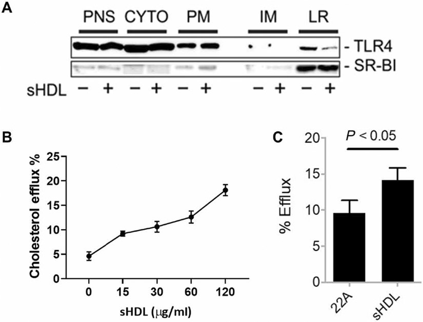 Fig. 8.