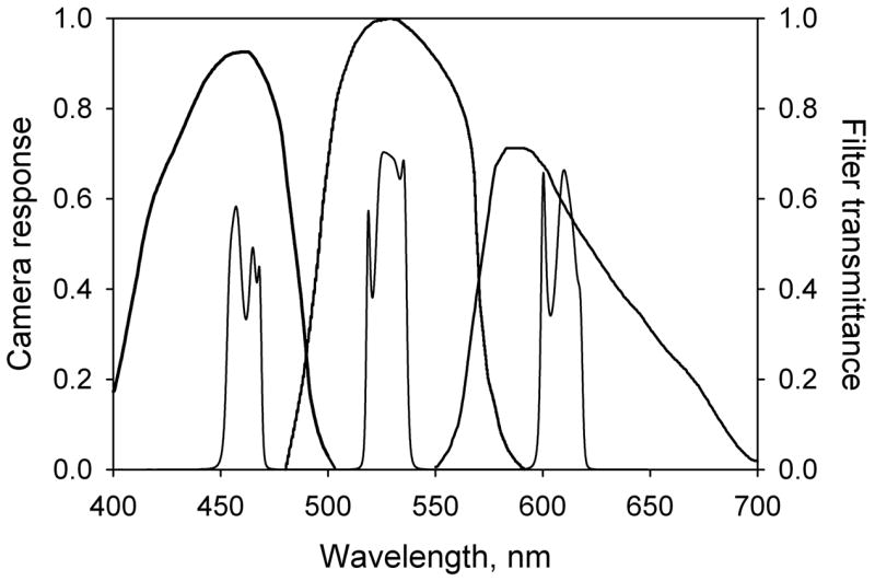 Fig. 2