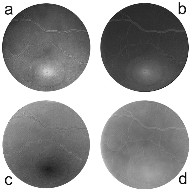 Fig. 3