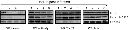 Fig. 5.